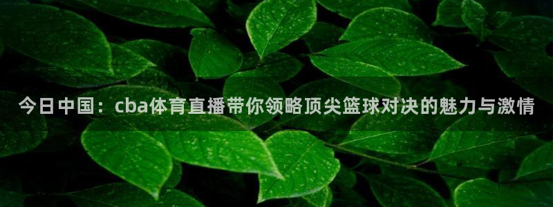 快体育足球篮球五大联赛24小时直播