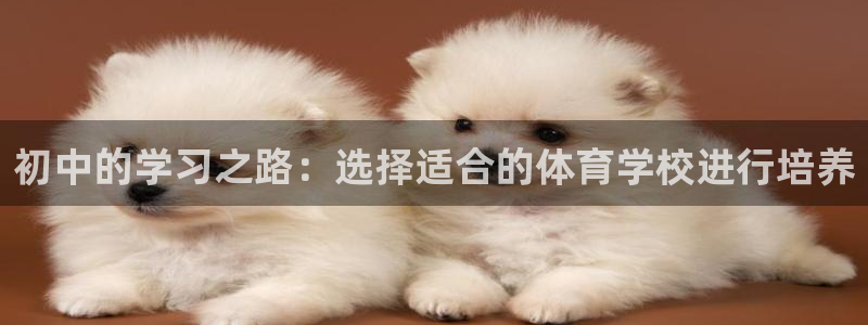 快体育