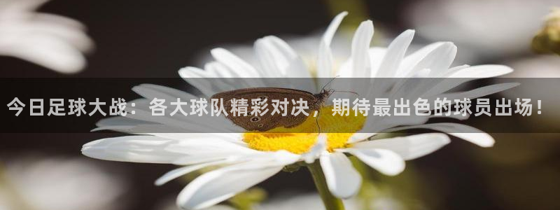 快体育五大联赛