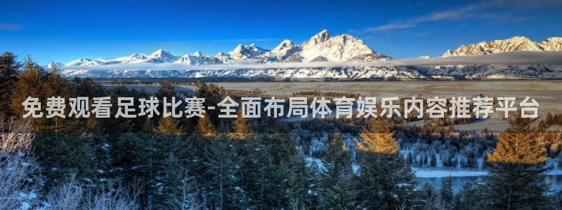 快体育nba：免费观看足球比赛-全面布局